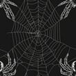 © DARIKA - Intricate illustration of a spider spinning its web, carefully laying down each strand with precision. Minimal pattern banner wallpaper, simple background, Seamless,