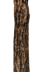 Aufkleber - Trunk of a tree Isolated On transparent Background.