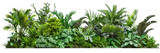 Lush tropical plant border with vibrant greenery, isolated on transparent background. Perfect for nature-themed projects, invitations, and decorative designs.