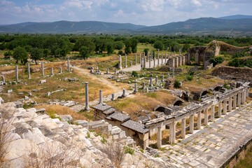 Wall Mural - The Aphrodite of Aphrodisias ( Afrodisias Stadium ) combined aspects of a local Anatolian, archaic fertility goddess with those of the Hellenic Aphrodite, goddess of love and beauty. Karacasu Aydin