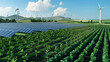 © WETDREAM - A field of crops is next to a wind farm