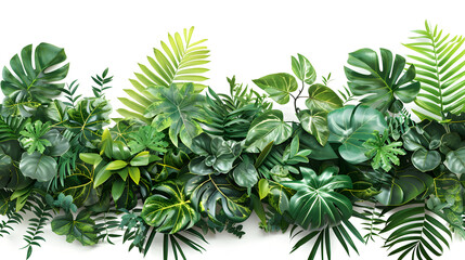 Wall Mural - Green leaves of tropical plants bush floral arrangement indoors garden nature backdrop isolated on white background