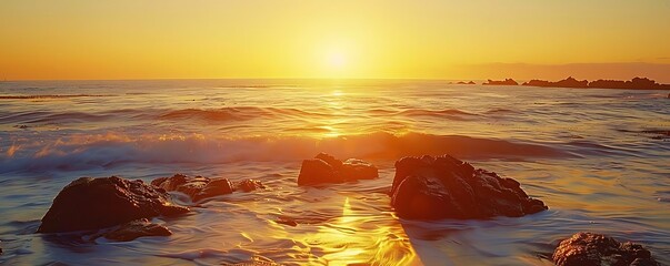 Wall Mural - a stunning sunset illuminates a rocky shoreline, with waves crashing against the rocks and a distant tree in the background, all set against a vibrant orange and yellow sky