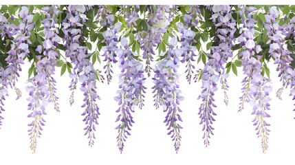 Wall Mural - wisteria flowers