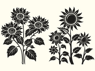 Sunflower silhouette set, set isolated silhouette sunflower, balck and white sunflower