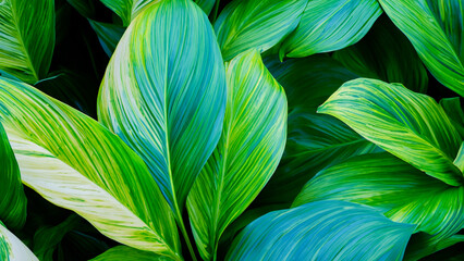Abstract colorful tropical leaf texture and nature background