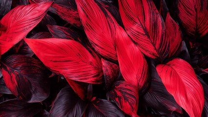 Abstract colorful tropical leaf texture and nature background