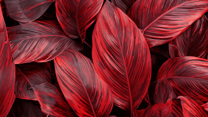Abstract colorful tropical leaf texture and nature background
