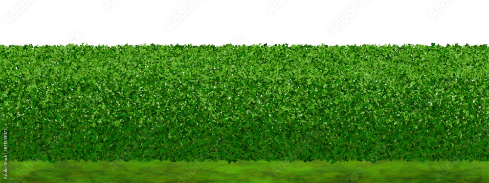 Boxwood Tree Vector File Green lawn with a hedge of boxwood bushes. Seamless background with ...