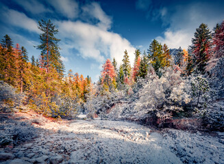 Wall Mural - First snow in Naturpark Fanes-Sennes-Prags. Bright autumn landscape in Dolomite Alps, Braies Lake location. Wonderful outdoor scene of Italy, Europe. Beauty of nature concept background.