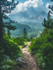 Canvas Print - Winding Mountain Trail Unfolding to Reveal Awe Inspiring Alpine Vista