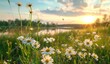 © Bundi - At sunset, a beautiful summer spring natural landscape with a lake and wildflowers.