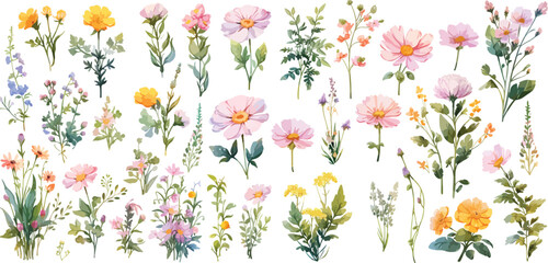 Wall Mural - wildflower clipart vector for graphic resources	