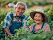 © pavlofox - Senior Couple Harvesting Tomatoes