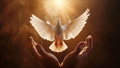 Human hands open palm up worship. Eucharist Therapy Bless God Helping Repent Catholic Easter Lent Mind Pray. Christian Religion concept background. Winged dove Testament Holy Spirit Religious