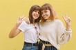 © anatoliycherkas - Two stylish school friends girl joking and make faces grimace with hands on the yellow background