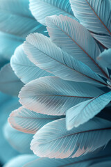 Poster - Silver feathers surrounding a pastel mint green center,