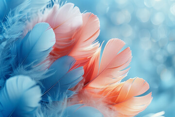 Poster - Fluffy pastel feathers in various colors framing a soft blue background,