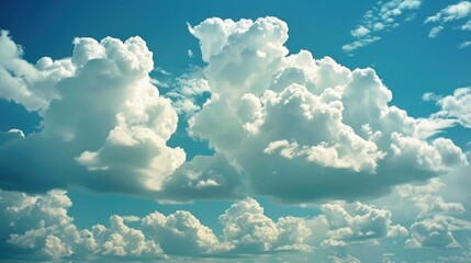 Wall Mural - White clouds in a sky of blue