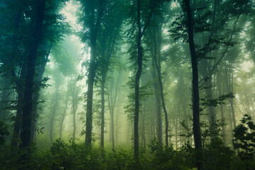 Wall Mural - green lush forest fantasy landscape