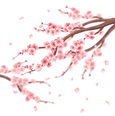 Wall Mural - Realistic sakura tree composition background with a branch