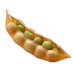 Wall Mural - Close-up of a dried pea pod with green peas inside, isolated on a white background.