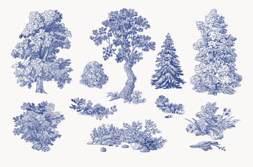 Wall Mural - Set of trees and bushes. Landscape elements. Vector vintage illustration. Blue and white