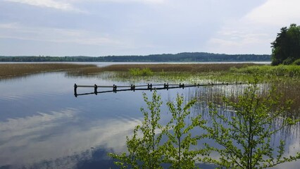 Wall Mural - A peaceful view of a lake with clear, calm waters reflecting the sky and clouds, surrounded by reeds and distant trees under a soft, bright sky