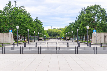 Wide Walkway Lined with Trees and Street Lamps in Urban Park, Tokyo, Japan