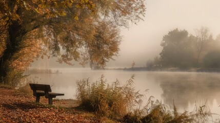 Wall Mural - bench in the fog