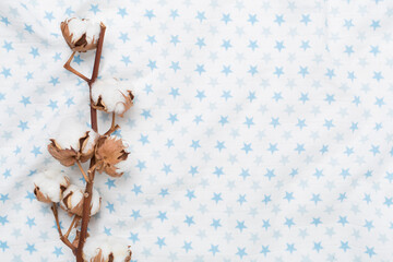 Wall Mural - Cotton branch on fabric background, top view