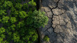 © Lahiru - Climate changes & nature impact. Trees in a natural green ground and dry cracked ground on left side. Drought to green, global warming, weather transformation, ecology concepts.