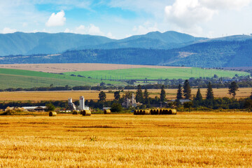 Wall Mural - bale haystacks on the grassy agricultural field in slovakia. rural landscape of presov region in late summer. european rolling countryside landscape in evening light