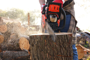 Wall Mural - Man sawing wooden log on sunny day, closeup