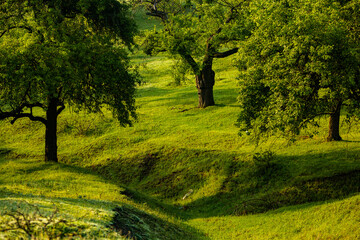 Photo with landscape and beautiful green nature in the Republic of Moldova, a small friendly country in Eastern Europe.
