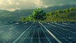 © Oulaphone - Young tree sprouting from the center of a field of solar panels, symbolizing the growth of renewable energy and a sustainable future with zero carbon emissions.