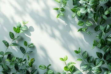 Wall Mural - Green Leaf Foliage on Light Background