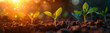 © khonkangrua - Close-up of young green plants sprouting in soil, bathed in warm sunlight, symbolizing growth and new beginnings.