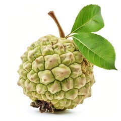 Wall Mural - Custard apple isolated on white background  