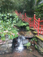 monte, garden, tree, outdoor, relax, park, tourism, madeira island, lake, green, view, peace, walk, leaves, wood, plants, landscape, palm, nature, plant, trees, flora