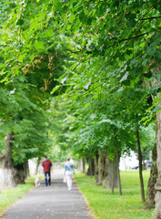 Wall Mural - Blurred defocused people are walking in the park.