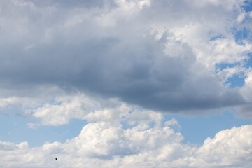 Wall Mural - Image of a partly cloudy sky with blue patches