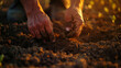 © thanakrit - Close-up of a farmer's hands sowing seeds in the soil during sunset, highlighting the texture and warmth.