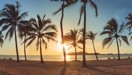 Wall Mural - summer beach background palm trees against blue sky banner panorama travel destination tropical beach background with palm trees silhouette at sunset vintage effect meditation peaceful nature view