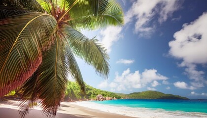Wall Mural - palm trees on tropical beach anse georgette on praslin island paradise on the seychelles