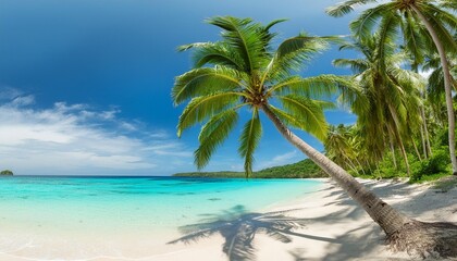Wall Mural - panorama of idyllic tropical beach with palm trees white sand and turquoise blue water