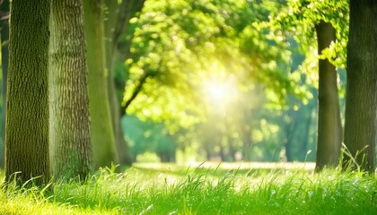 Wall Mural - defocused green trees in forest or park with wild grass and sun beams beautiful summer spring natural background