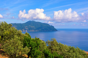 Wall Mural - Punta chiappa Ligurian coast taken from Pieve Ligure Alta Italy