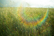 © ADDICTIVE STOCK - Rainbow spectrum in serene grassy meadow