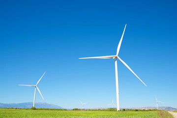 Wall Mural - Wind turbine generators for green electricity production